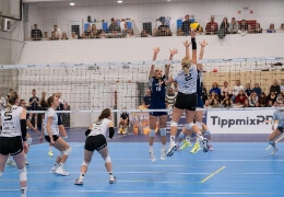 Rangadó volt a javából!